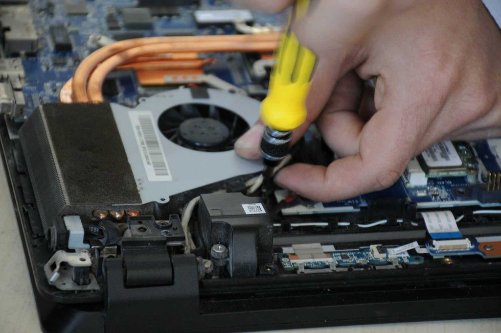 Tishk International University | dean of students