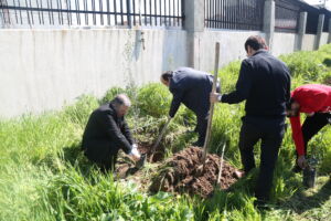 Tishk International University | dean of students