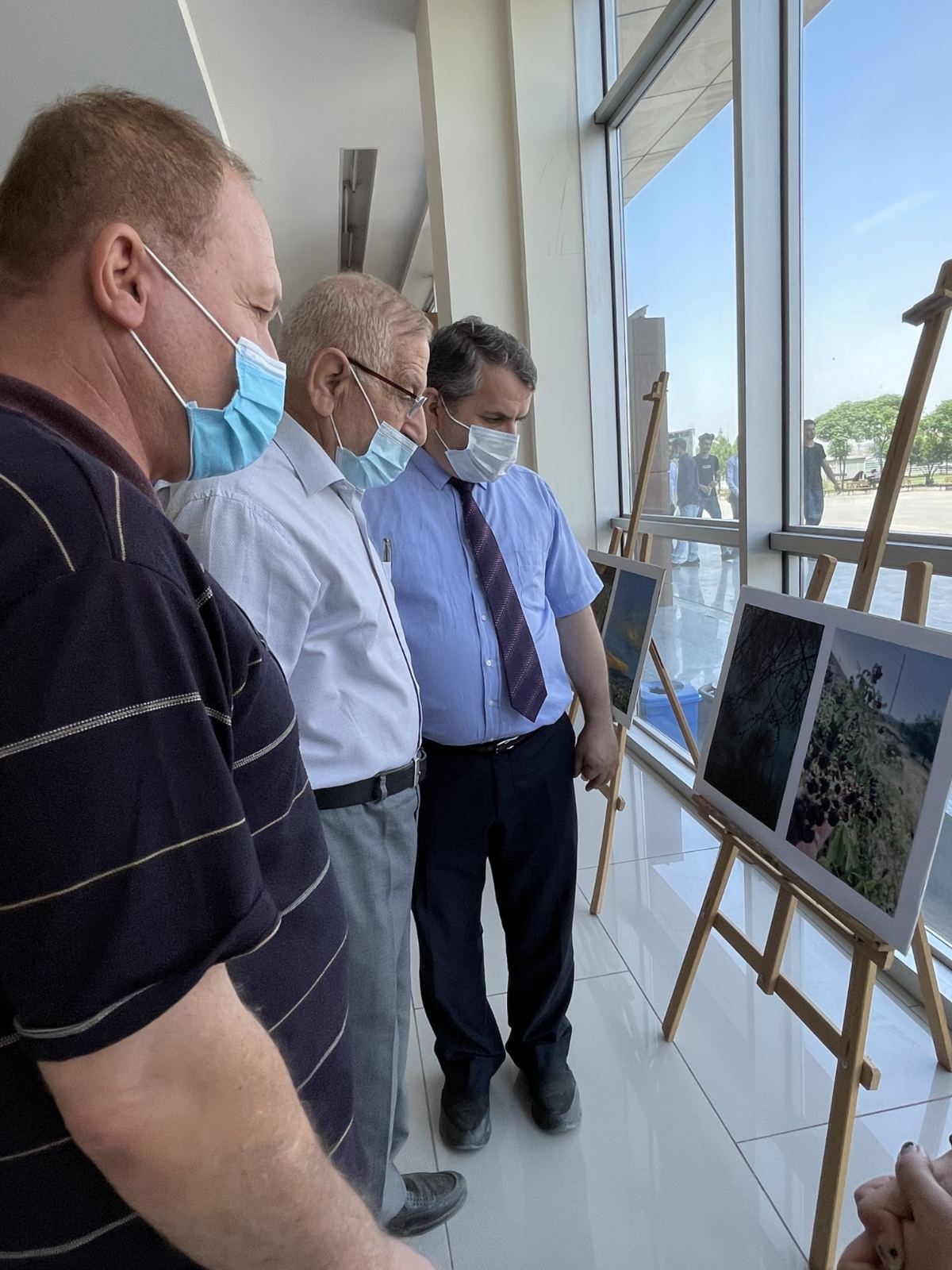 Tishk International University | dean of students