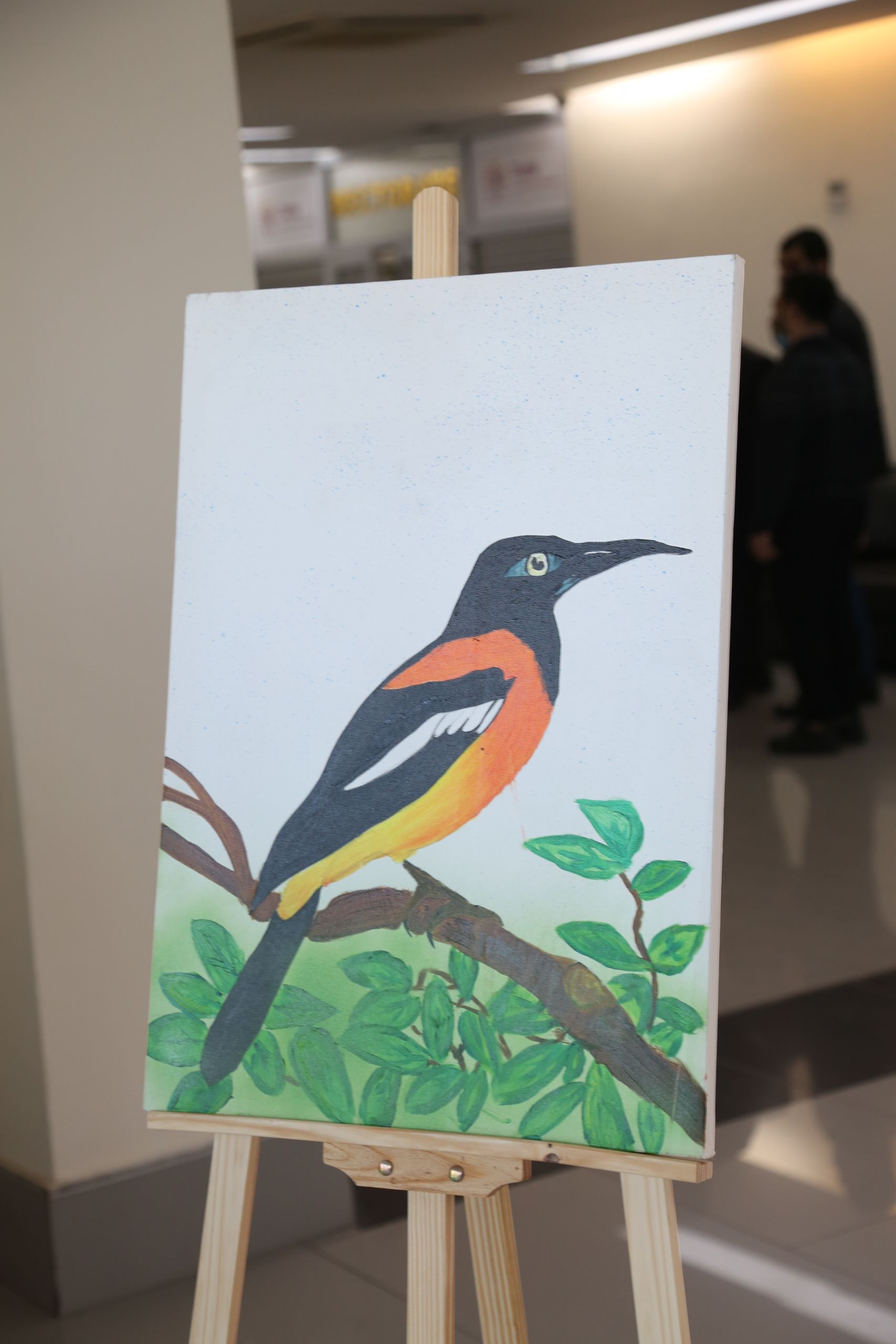 Tishk International University | dean of students