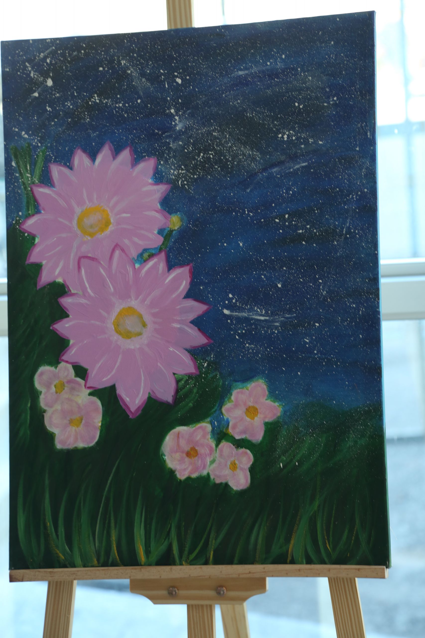 Tishk International University | dean of students