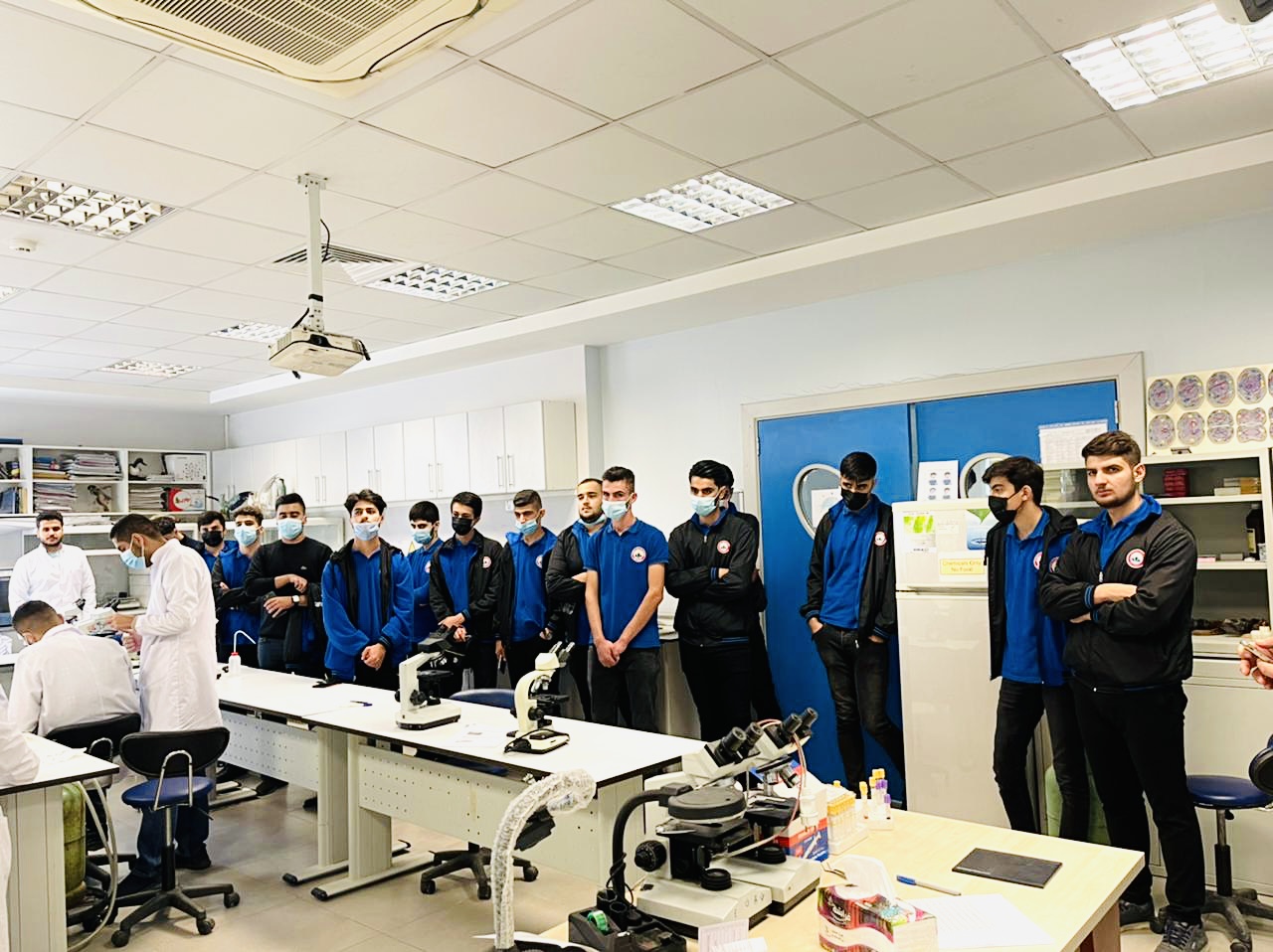 Tishk International University | dean of students