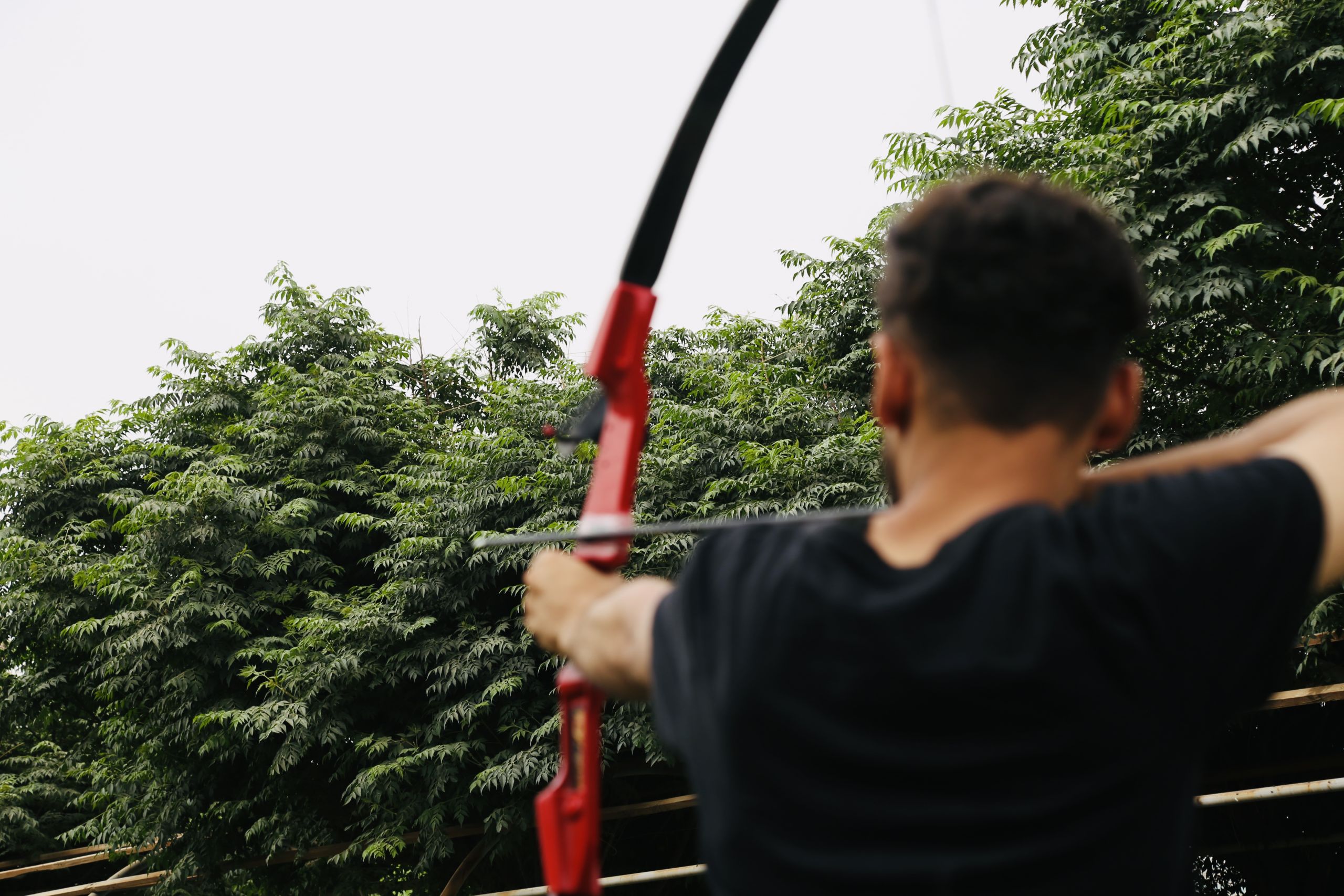 Tishk International University | dean of students